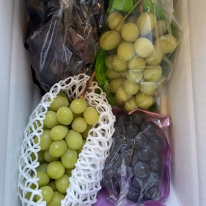 BKシードレス&シャインマスカット味比べ詰め合わせ！！