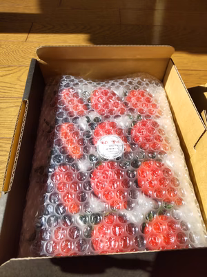 みんなの投稿の画像