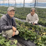 西村利枝 | ココチ農園