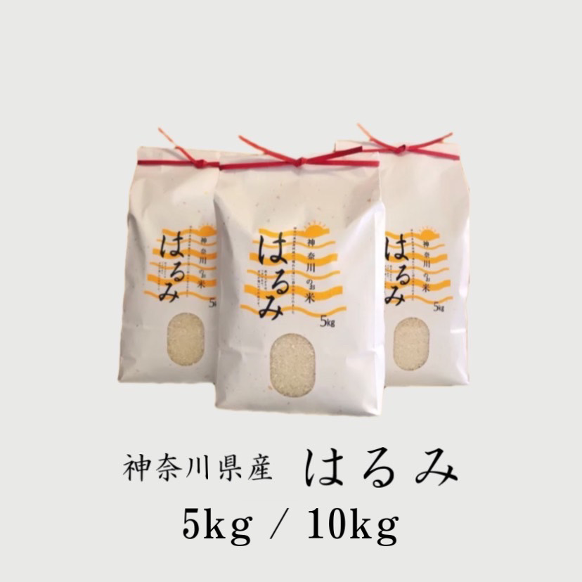 令和5年産新米予約]日本一美味しい米を作る遠藤五一さんの無農薬特別