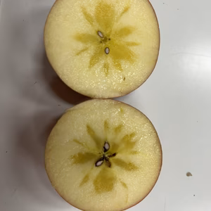 パリッと食感！食べきりサイズ　訳あり　極小こうとく