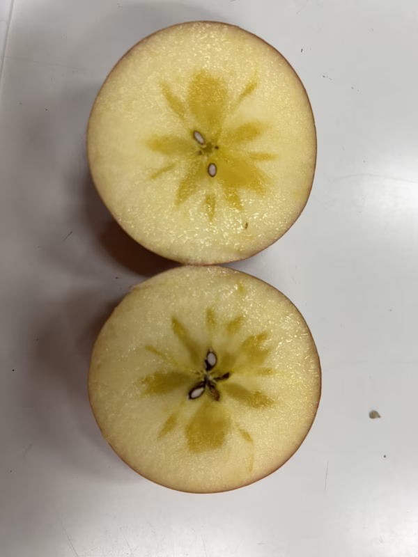 パリッと食感！食べきりサイズ　訳あり　極小こうとく