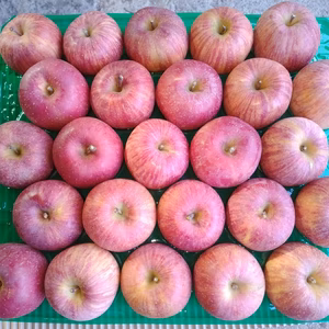 小さくて可愛い！『小玉サンふじ25玉入り約4.5kg』