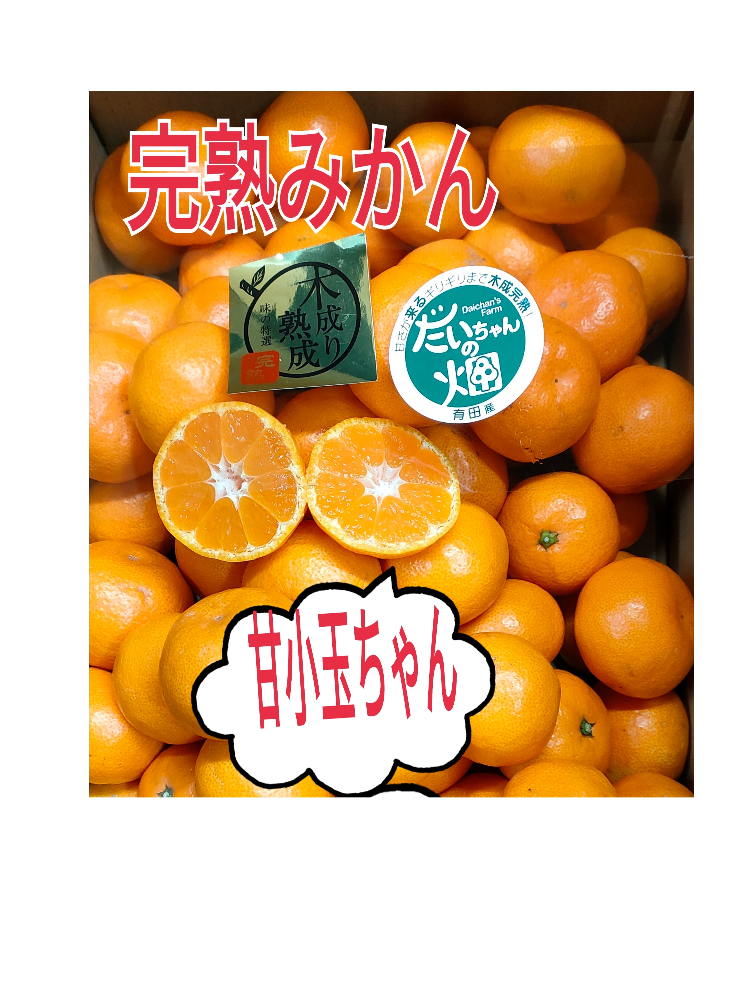コクのある濃厚な甘さ！完熟有田みかん☆田口早生　10キロ 田口早生の産直通販・お取り寄せ商品｜ポケットマルシェ｜産地直送で旬
