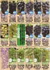 山形県産高級ぶどう3房詰め合わせ 朝もぎ発送8月お届け