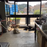 しばとかーりー