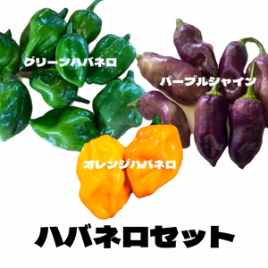 ハバネロセット！！