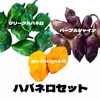 ハバネロセット！！