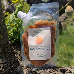ゆうパック用《梅かつおにんにく100g2個》お酒のあてやおにぎりの具にも！