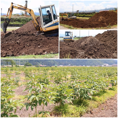 みんなの投稿の画像