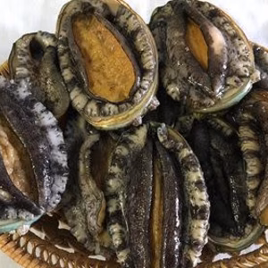 白神活アワビ(国産）　80~90g 10個入り