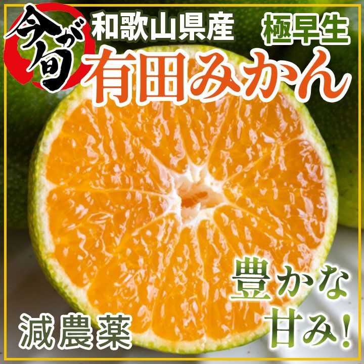 専用♥お年玉超特価❤みかん♥もちぷに♥規格外…大きなブランケット☆Ｗボアケット⭐ ジャケットタックミニワンピ – BUNNY APARTMENT