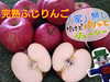 蔵出し◆完熟ふじりんご(ご家庭用約4kg)＆りんごの恵み