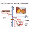 さつまいも（紅はるか）長期間地下室熟成で甘い 大分県産　Mサイズ４．５ｋｇ