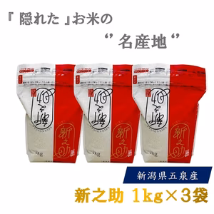 令和7年産　新之助　精米1ｋｇ×3袋
