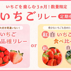 いちごを楽しむ3ヵ月！「いちごリレー定期便」