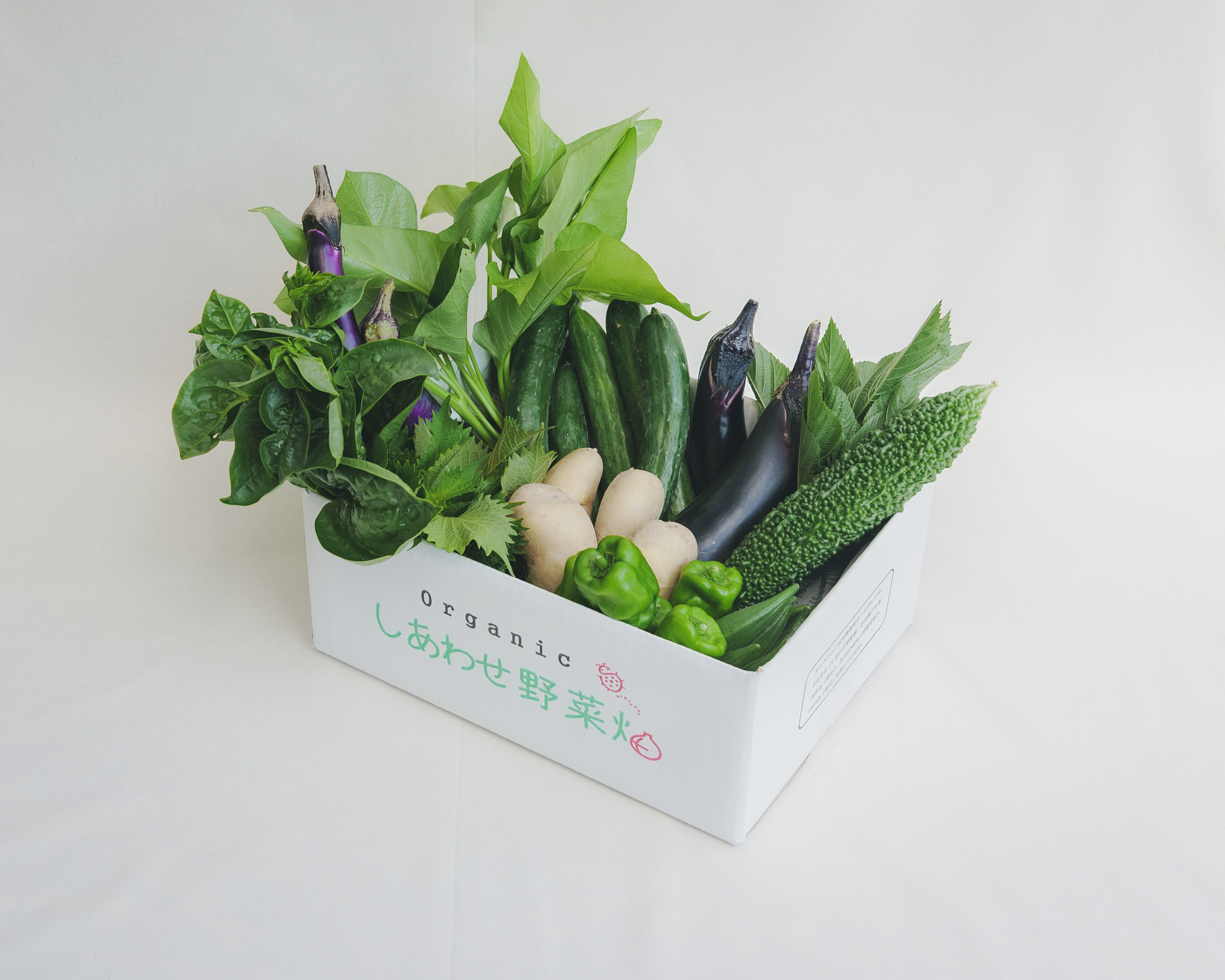 お野菜です！ 有機JAS認証 有機野菜 定期便 オーガニック 野菜セット｜野菜セットの