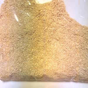 生姜パウダー（粗め）業務用500g【高知県四万十町産】農薬・化学肥料不使用