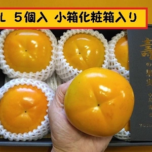 甘柿　｢太秋柿」 「小箱　4L  5個入り　１、６kg以上化粧箱入り
