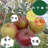 【送料無料】【訳あり】【春待ちりんご2.7kg】可愛いサイズ