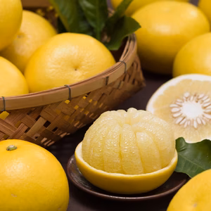 【3kg】ギフト用2L～3L　土佐文旦　高知の春の味覚！