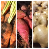 からだ温め有機野菜セット【人参、紅はるか、生姜】 