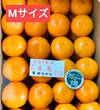【数量限定】樹上熟成 有田みかん 夕やけみかん（Mサイズ・懐かしの甘さ）