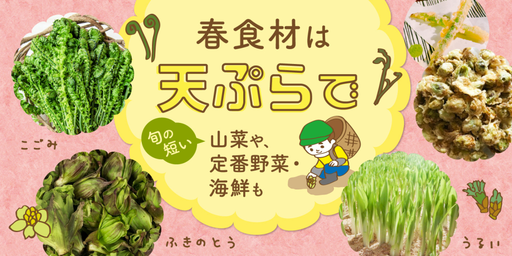 信州産 タラの芽 苗木(ミニ)土付き♪こんばんわ - 野菜