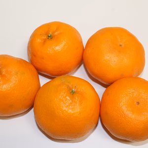 本州向け発送・ぽんかん家庭用４．5キロ