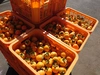 夏季・数量限定！自家用『冷凍・市田柿』１キロ　真空パックで鮮度を密封！