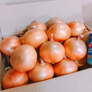 淡路島たまねぎ（3kg）