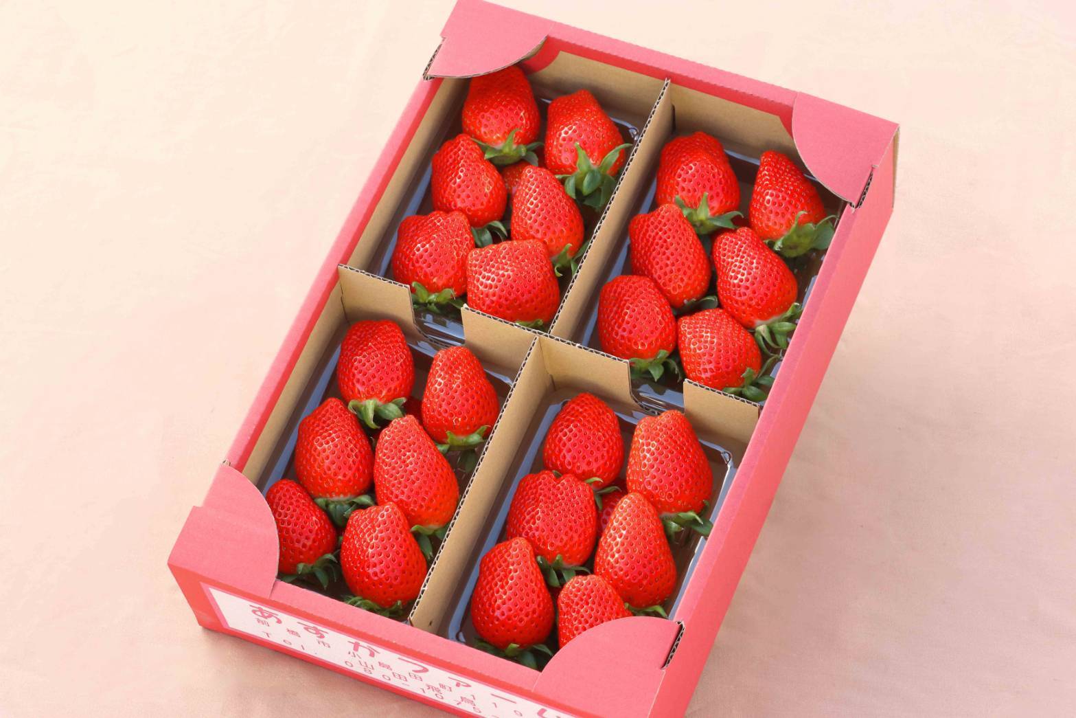 4月予約】4種食べ比べ 他では味わえないいちご280g4パック｜いちごの