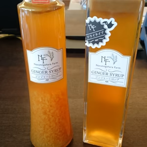 ジンジャーシロップ1本、ジンジャーシロップドライ(辛口)タイプ1本セット