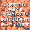 訳ありなのです❗️　干し柿　おトクな送料380円♪