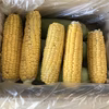 【8/22出緊急出品❗️残1箱❗️】絶品スイートコーン数種　規格外品詰合セット