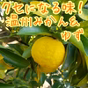 くせになる味！温州みかん＆ゆず