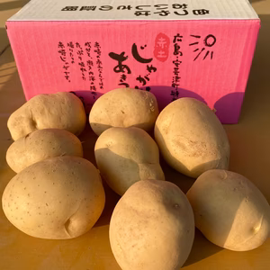 美味しい！　赤土じゃがいも　あきつ美人　お試し用　2キロ