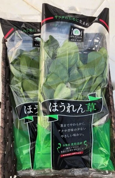 【期間限定・ギフトセット】★栽培期間中農薬不使用★サラダのために生まれた野菜