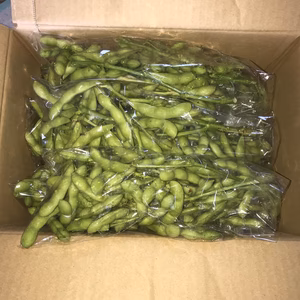 黒豆の枝付き枝豆　15袋　3.45kg入り　80サイズ冷蔵で農園より直送します。