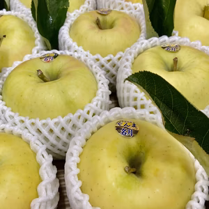 ぐんま名月【大きくて美味しい！】最高級５キロ