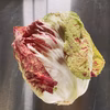 冬のイタリア野菜 ラディッキオ ルシア(結球型カステルフランコ) 約1kg
