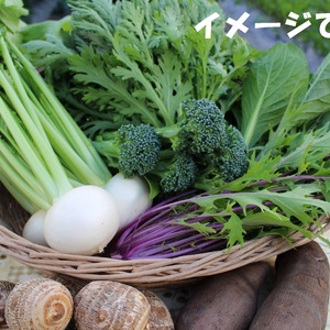 野菜セット「冬」バージョン