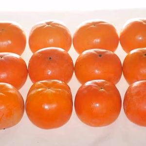 (良品）富有柿Ｌ～３Ｌ混合サイズ4kg