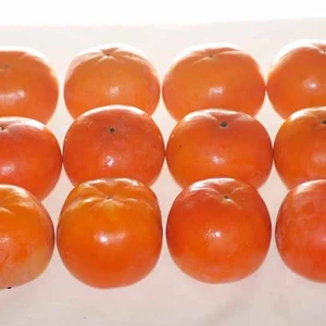 (良品）富有柿Ｌ～３Ｌ混合サイズ4kg