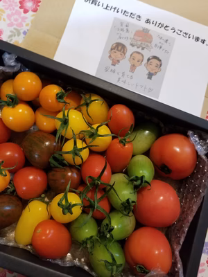 みんなの投稿の画像