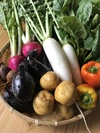【旬を食べよう】季節のおすすめ野菜セットⓂ︎サイズ