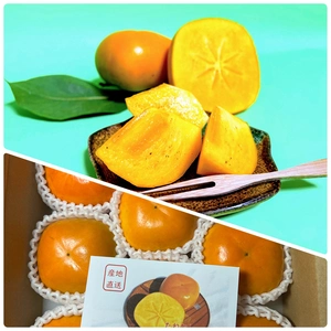 ＊＊贈答品＊＊　たねなし柿　＊送料無料＊