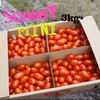 スイートミニトマト3kg