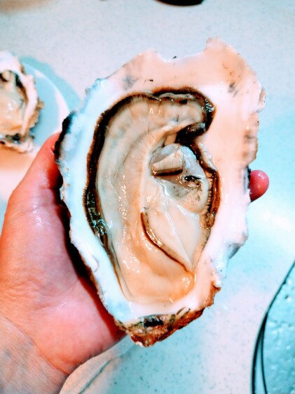 牡蠣バカがつくる米崎牡蠣 生食用 お試し食べ頃サイズ5個 小サイズ 農家漁師から産地直送の通販 ポケットマルシェ