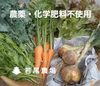 5/30発送＞こだわり農家の野菜セット☆増量中☆クール便